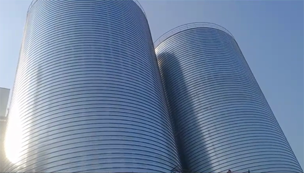 金川2座混凝土高架卷板仓